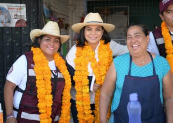 Partidos deben cumplir con las acciones afirmativas: Beatriz Mojica
