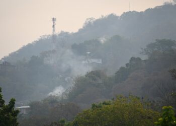Reportan incendios en Zihuatanejo, Petatlán, La Unión y Tecpan