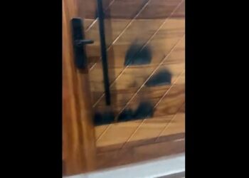 Lanzan bombas molotov a salón de eventos que usa candidato a presidente de Movimiento Ciudadano en Petatlán, Jaime Martínez