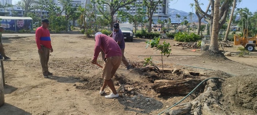 abono-troncos-otis-acapulco-parque-p.jpg