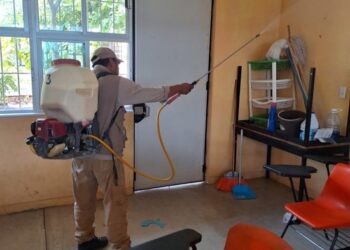 Mantiene la SSG acciones de control contra la propagación del dengue en Guerrero