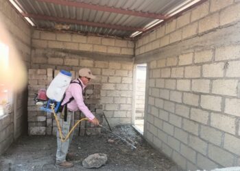 Continúan acciones de combate al mosco transmisor del dengue en todo el estado