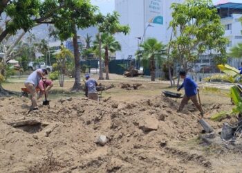 El Parque Papagayo se prepara para la reforestación con medio millón de árboles y plantas