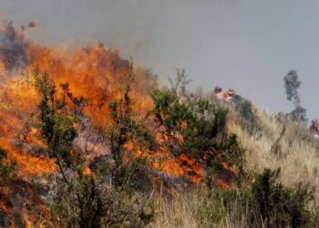 Participación ciudadana para evitar incendios forestales en La Unión