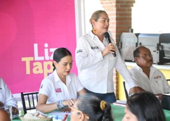 Sectores de Zihuatanejo reciben a Rebeca Núñez y recibe su respaldo