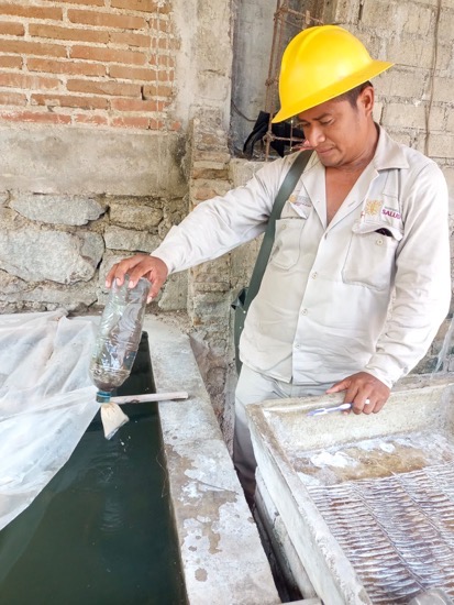 salud-dengue-temporada-lluvias_gro.jpg