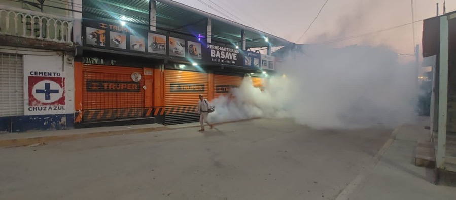 salud-dengue-temporada-lluvias_gro.jpg