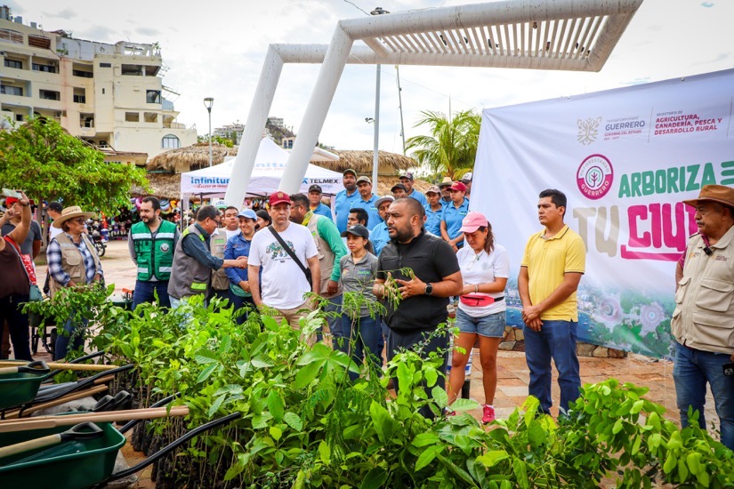 Arboriza-acapulco-campania-gob.jpg