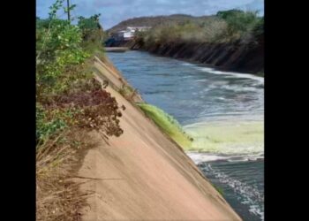 Denuncian vertimiento de aguas negras al canal pluvial de Ixtapa