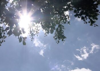 Reitera Salud recomendaciones ante las altas temperaturas