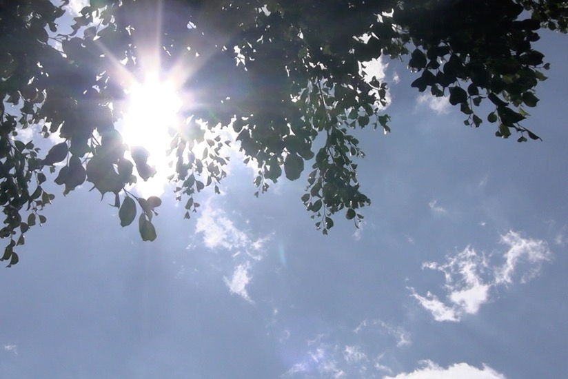 altas-temperaturas-salud-gro.jpg