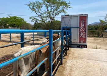 En mayo se realizaron 2 mil 283 revisiones de carga pecuaria en Guerrero: SAGADEGRO