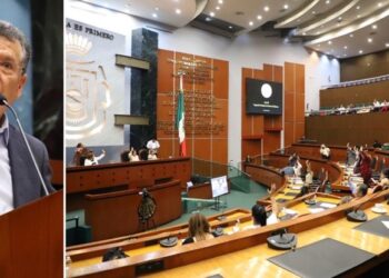 APRUEBAN LA LEY PARA LA ATENCIÓN, INCLUSIÓN Y PROTECCIÓN A PERSONAS CON LA CONDICIÓN DEL ESPECTRO AUTISTA