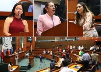 REFORMA EL CONGRESO LA LEY DE SALUD PARA INCORPORAR LA SALUD SEXUAL Y REPRODUCTIVA, Y PARA GARANTIZAR EL ABORTO SEGURO