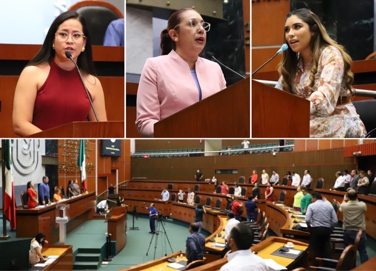 congreso-salud-sex-garantizar-seguro-.abort.jpg