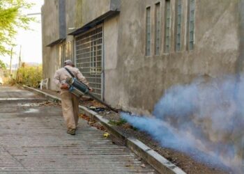 Controlados casos de dengue en región Centro: SSG