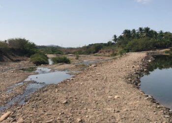 Agravada la falta de agua en Petatlán