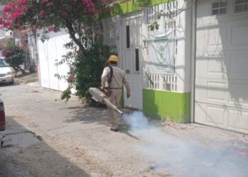 Este 20 de junio, “Día Estatal contra el Dengue”