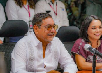 Se va del Senado después de votar por el Plan C, anuncia Félix Salgado