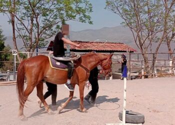 MANTIENE LA SSP GUERRERO SU PROGRAMA DE ZOOTERAPIAS