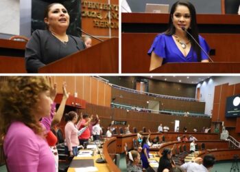APRUEBAN INCORPORAR EL LENGUAJE INCLUSIVO EN LA CONSTITUCIÓN POLÍTICA DEL ESTADO