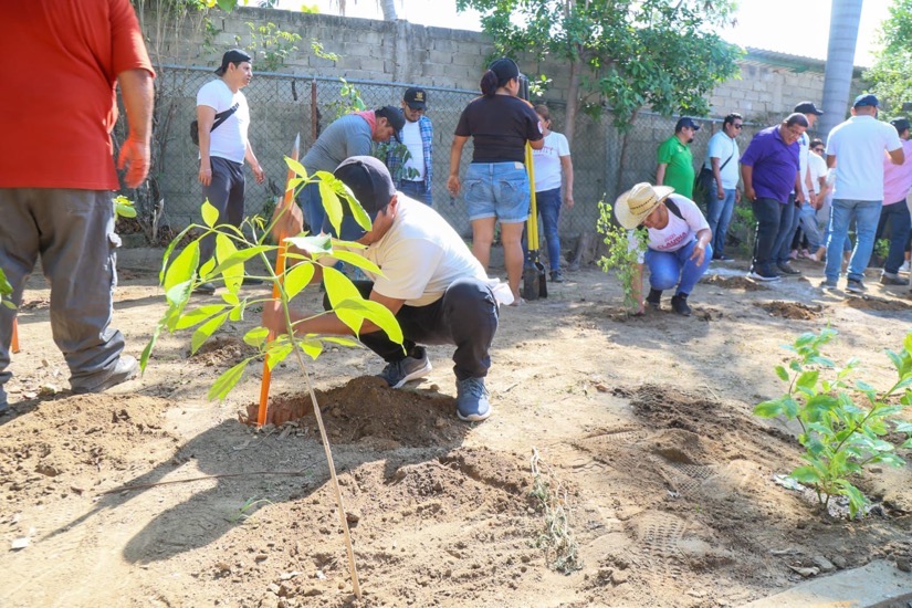 participacion-ciudadana-gro-otis-acapulco-coyuca.jpg