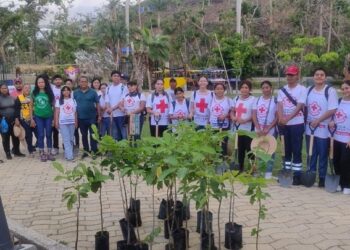Cerca de 300 árboles se han plantado en el Parque Papagayo