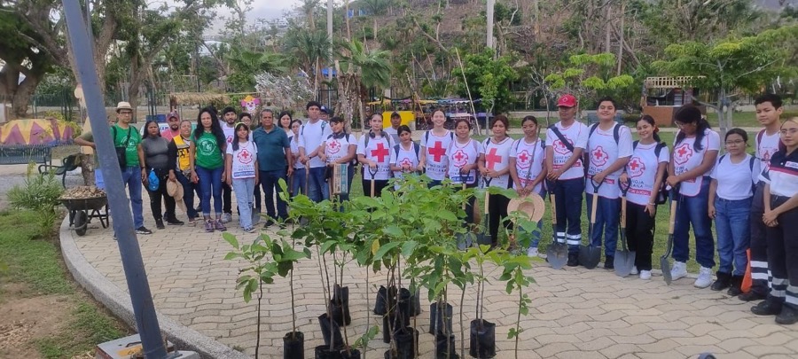 reforestacion-paquer-papagayo-arboles-gro-gob.jpg
