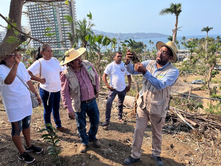 sembrando-Vida-reforestando-2024.jpg