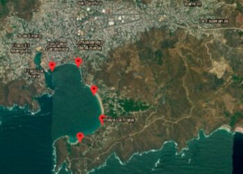 Las playas de Guerrero son aptas para uso recreativo: Cofepris