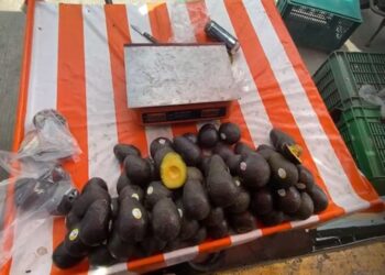 El oro verde hasta en 100 pesos el kilo en Zihuatanejo