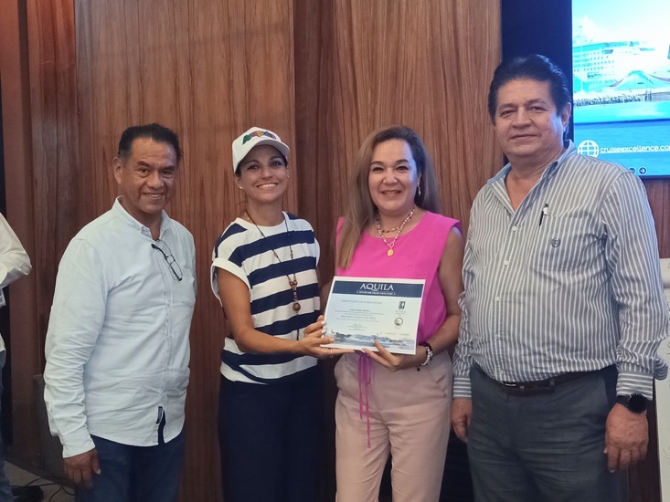 acapulco-ciudad-pro-cruceros-abelina-.jpg