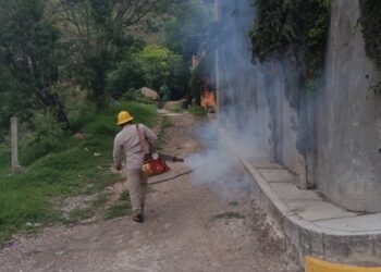 Reporta la SSG acciones de combate contra el dengue en Guerrero