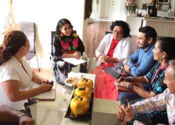 Presenta Salud plan de combate al dengue en Chilpancingo