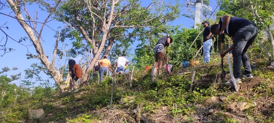 convocatoria-parque-papagayo-sembrado-arboles.jpg