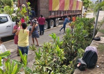 Dona el gobierno de la CDMX, 2 mil plantas para contribuir a la reforestación del puerto de Acapulco