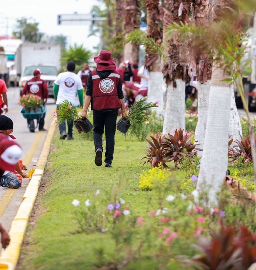evelyn-s-acapulco-jornada-reforestacion_gob.jpg
