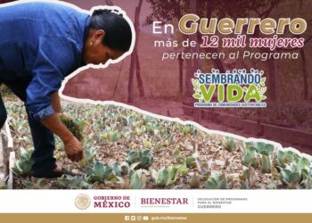 Más de 12 mil mujeres en el padrón de Sembrando Vida en Guerrero