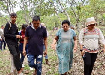 Pone en marcha SSG huertos botánicos en Plan de Gatica