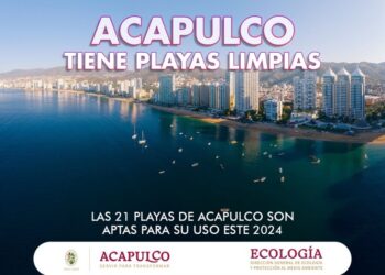 Hay playas limpias en Acapulco: Abelina