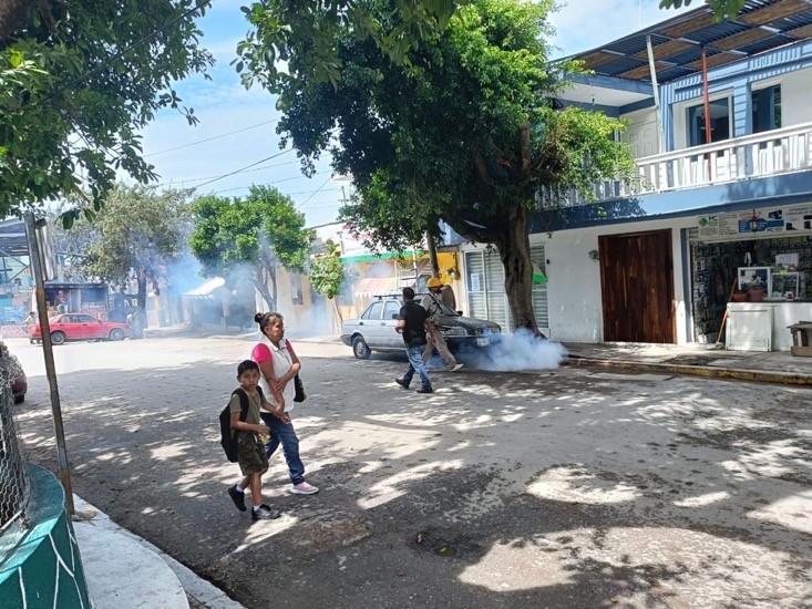 salud-gro-casos-dengue-maztlan-gro-gob.jpg