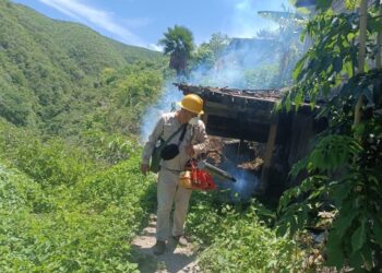 La SSG mantiene acciones de control contra el dengue en Guerrero