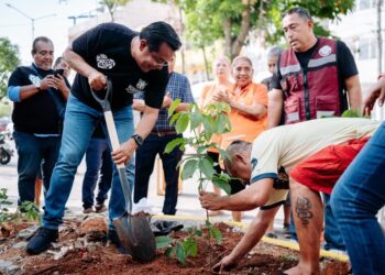 Sectur Guerrero lleva a cabo la Jornada de Reforestación en Zona Tradicional de Acapulco