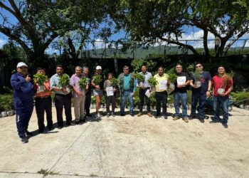 Continúa la gobernadora Evelyn Salgado con los programas de recuperación de zonas deforestadas en Guerrero
