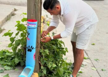 Fomenta Evelyn Salgado acciones en favor del bienestar animal en Guerrero