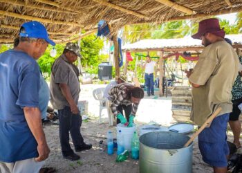 Fomenta Evelyn Salgado el mejoramiento de la productividad y la eliminación del uso de fertilizantes y herbicidas químicos
