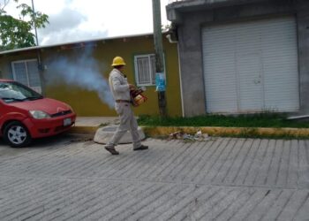Continúa Evelyn Salgado reforzando acciones de combate al mosco transmisor del dengue en todo el estado