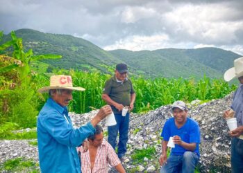 Promueve Evelyn Salgado el control biológico en la producción de maíz criollo