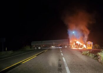 Enfrentamiento en Tecpan de Galeana deja 5 detenidos, 3 presuntos delincuentes y un policía municipal abatidos