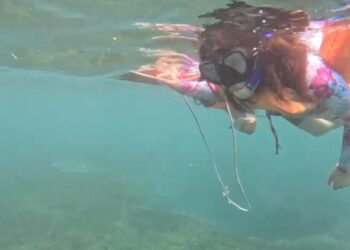 Ixtapa Zihuatanejo: Un Paraíso Submarino para el Turismo de Snorkel